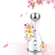 Nano Ionic Facial Steamer